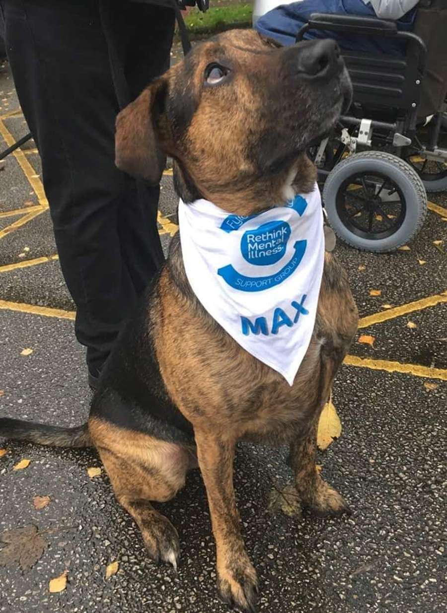 FB IMG 1539026528158