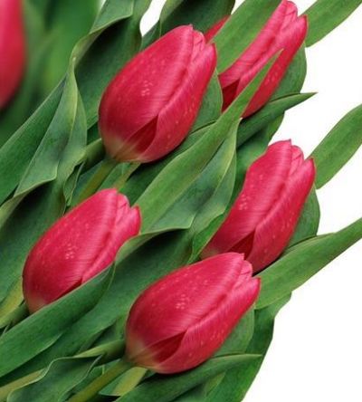 Spring 2024 Newsletter