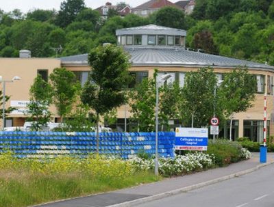 Mental Health Services