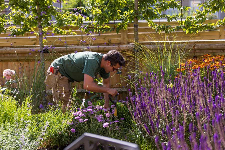 Chris At Work On A Private Project In Somerset 2022 (Credit) Jacob Gibbins